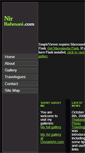 Mobile Screenshot of nirrahmani.com